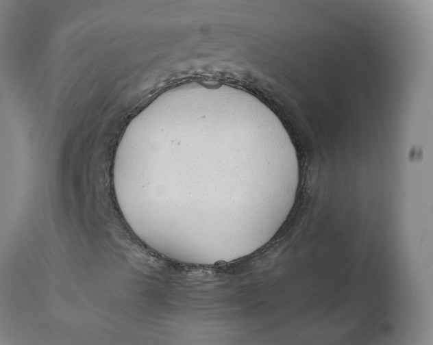 X0000111251489200907161353