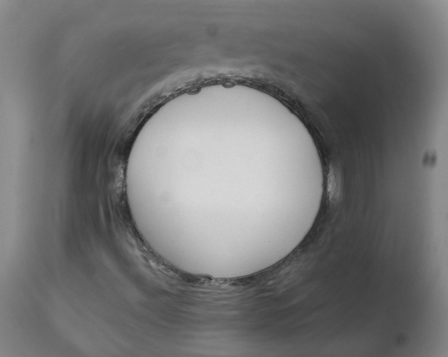 X0000111251492200907161353