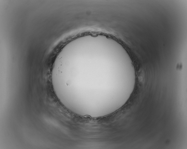 X0000111251495200907161353