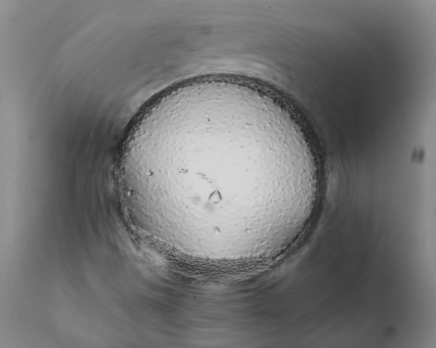 X0000111251497200907161353