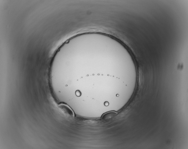 X0000111251500200907161353