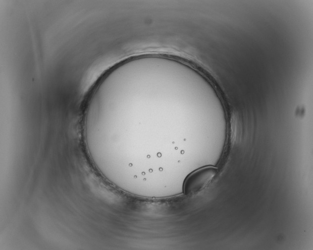 X0000111251501200907161353