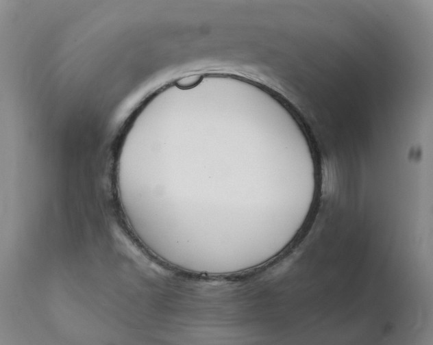 X0000111251502200907161353