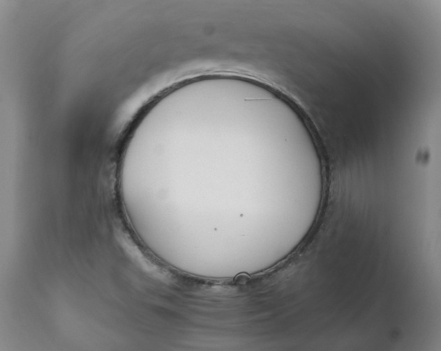 X0000111251503200907161353