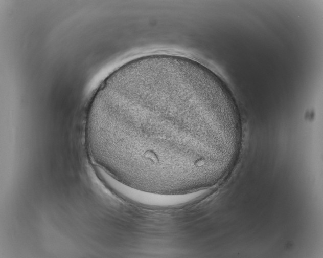 X0000111251504200907161353