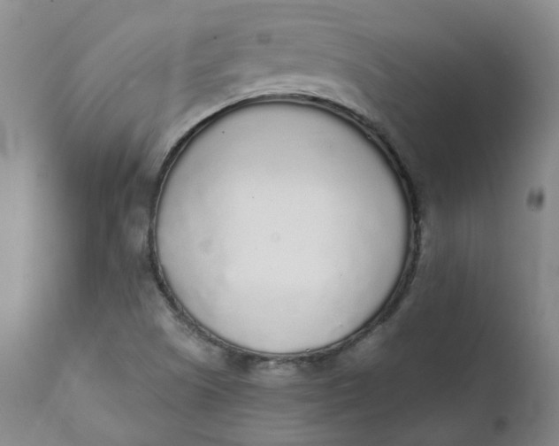 X0000111251505200907161354