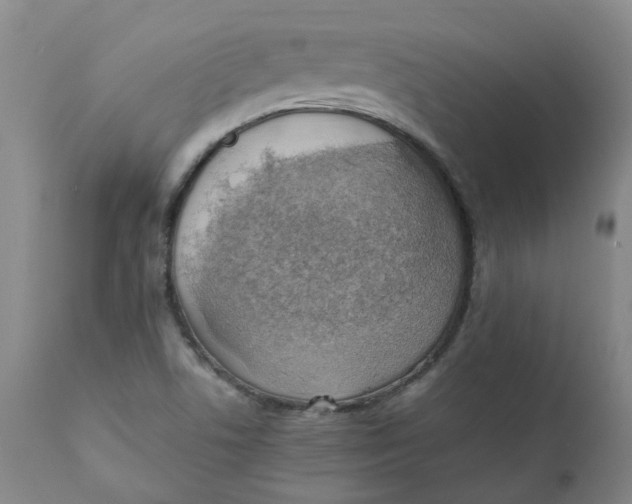 X0000111251506200907161354