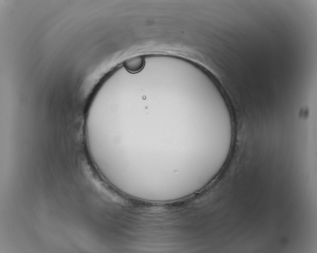 X0000111251507200907161354