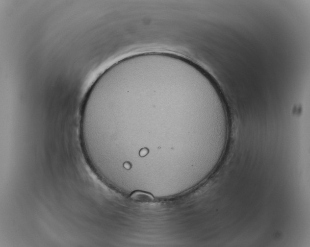 X0000111251508200907161354