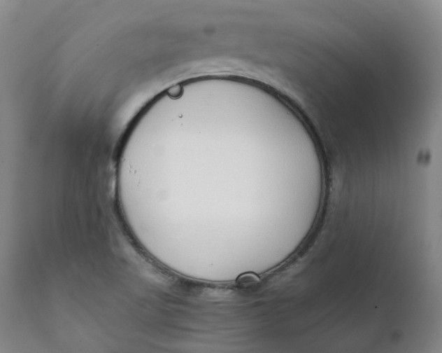 X0000111251509200907161354