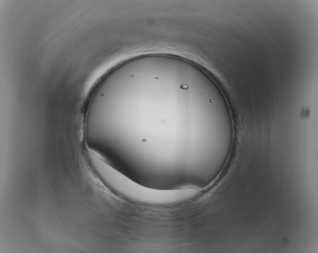 X0000111251510200907161354