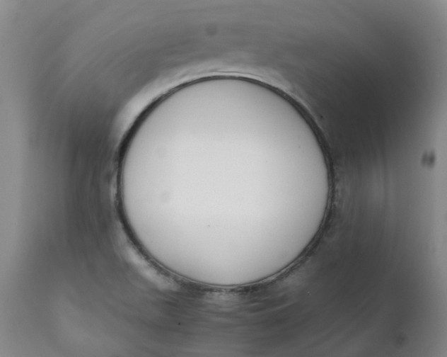 X0000111251511200907161354