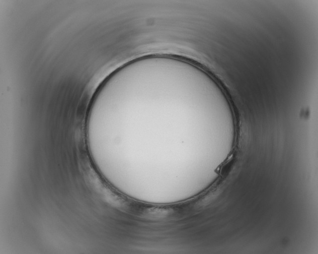 X0000111251513200907161354