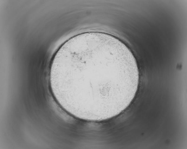 X0000111251514200907161354