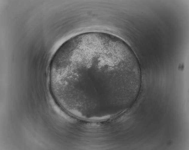 X0000111251515200907161354