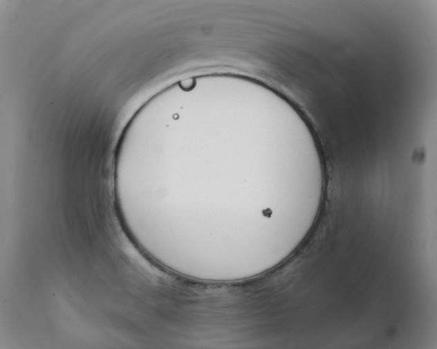 X0000111251516200907161354