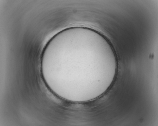 X0000111251517200907161354