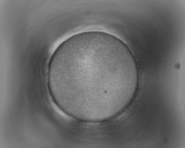 X0000111251519200907161354