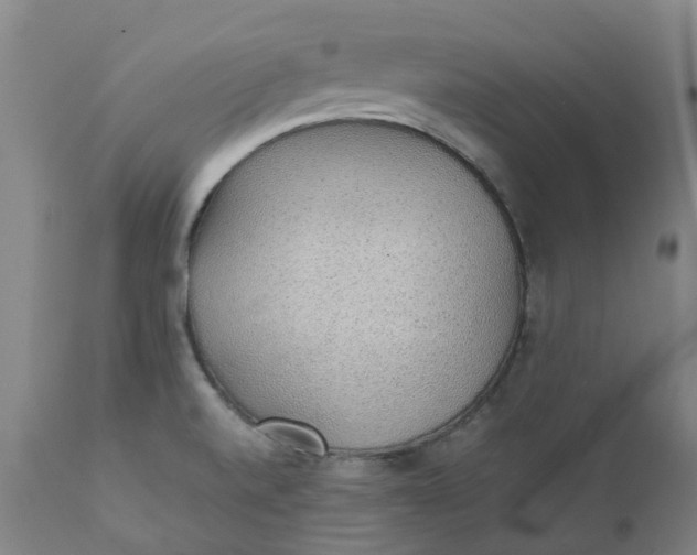 X0000111251520200907161354