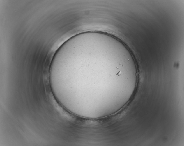 X0000111251521200907161354