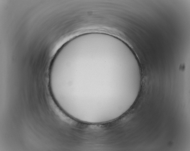 X0000111251523200907161354