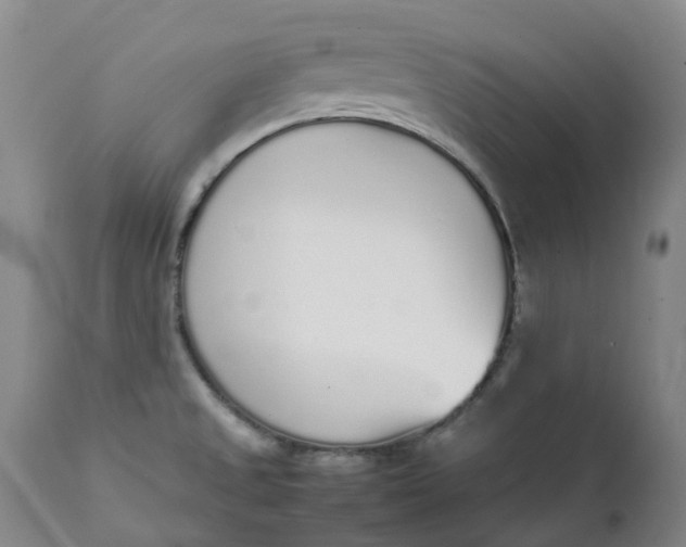 X0000111251525200907161354