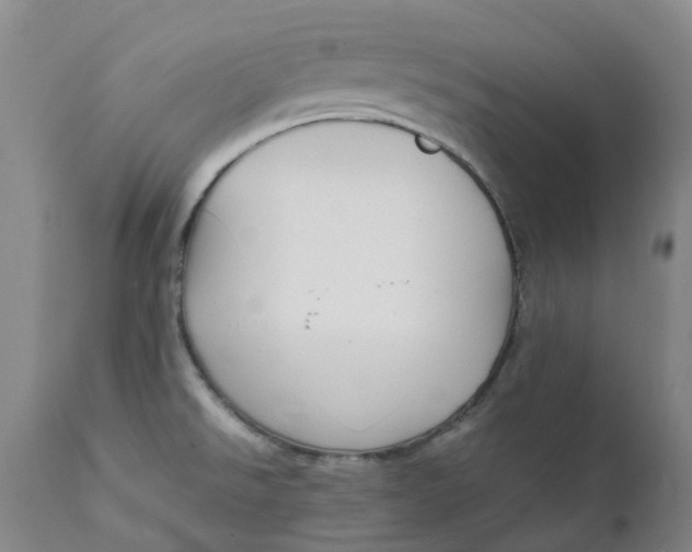 X0000111251526200907161354