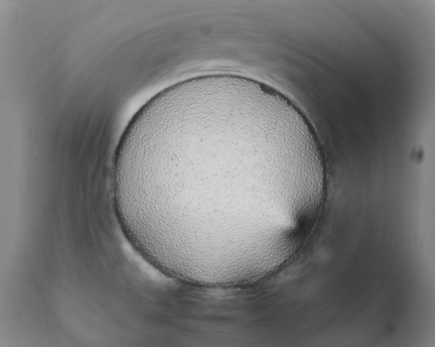 X0000111251527200907161354