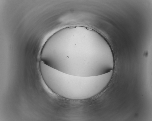 X0000111251528200907161354