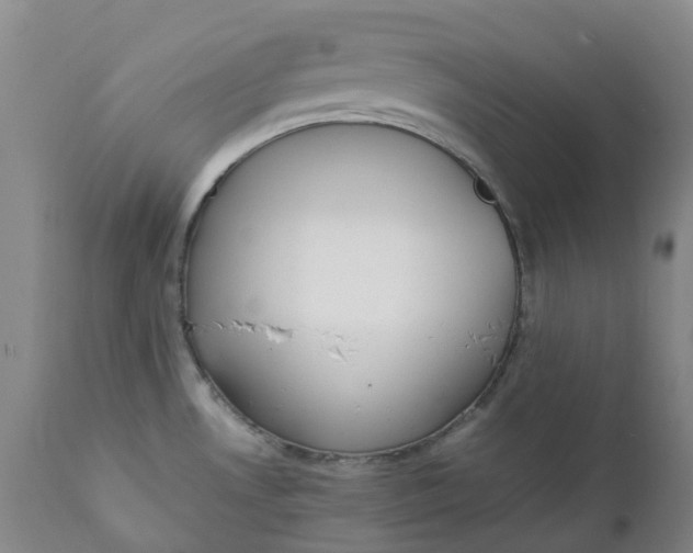 X0000111251530200907161354