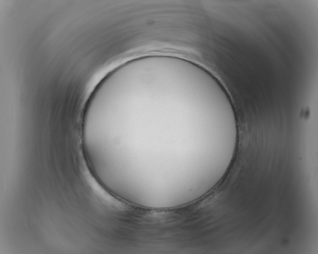 X0000111251531200907161354