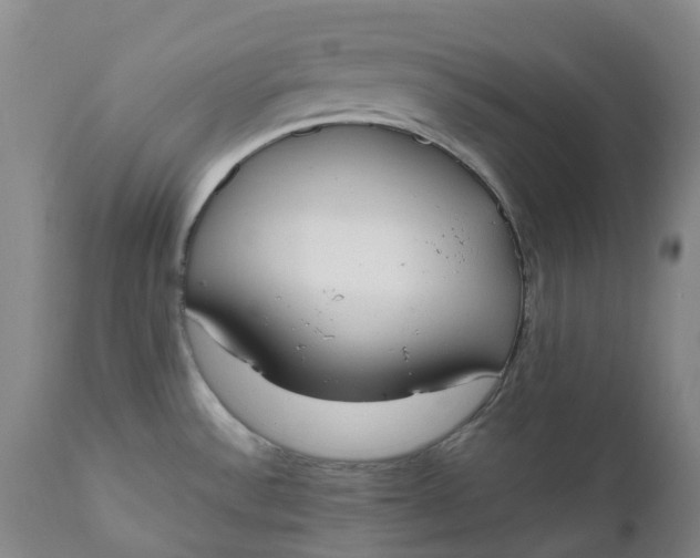 X0000111251532200907161354