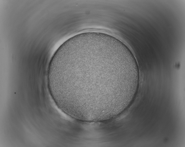 X0000111251533200907161354