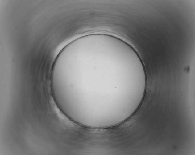 X0000111251534200907161354