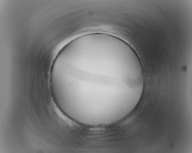 X0000111251535200907161354