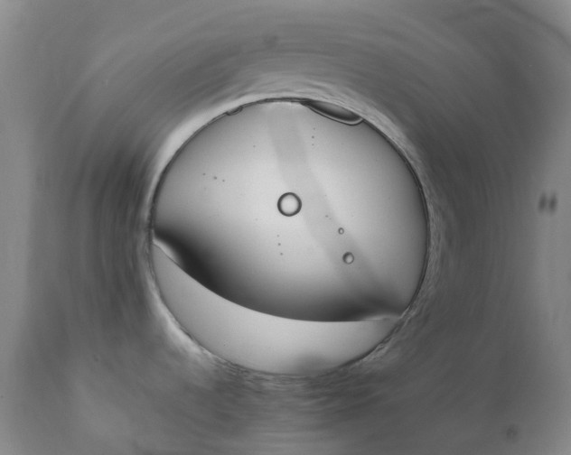 X0000111251536200907161354