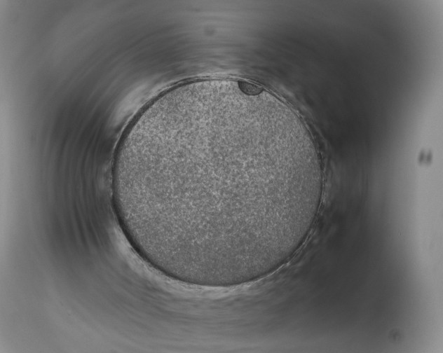 X0000111250002200907231604