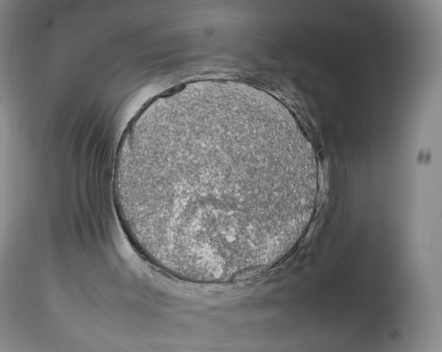 X0000111250003200907231604