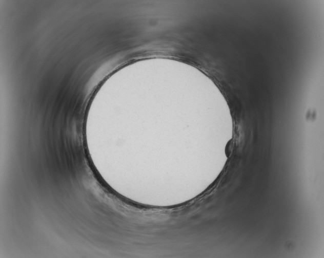 X0000111250004200907231604