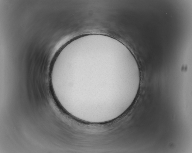 X0000111250008200907231604