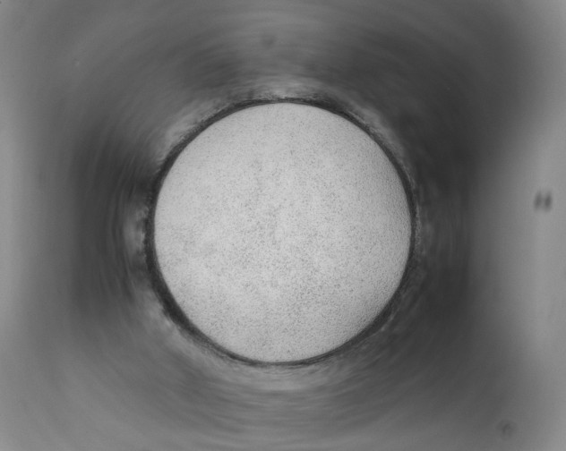 X0000111250010200907231604