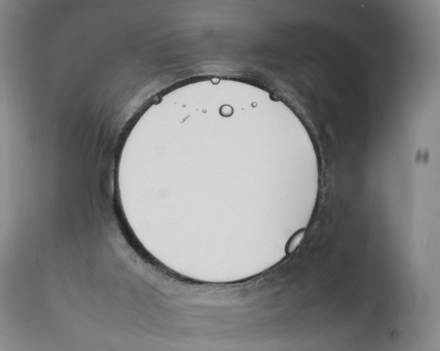 X0000111250011200907231604