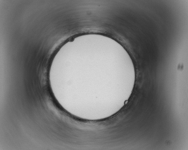 X0000111250012200907231604