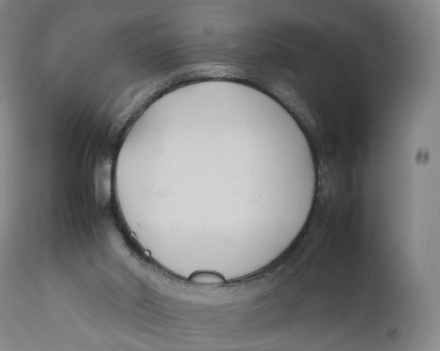 X0000111250014200907231604