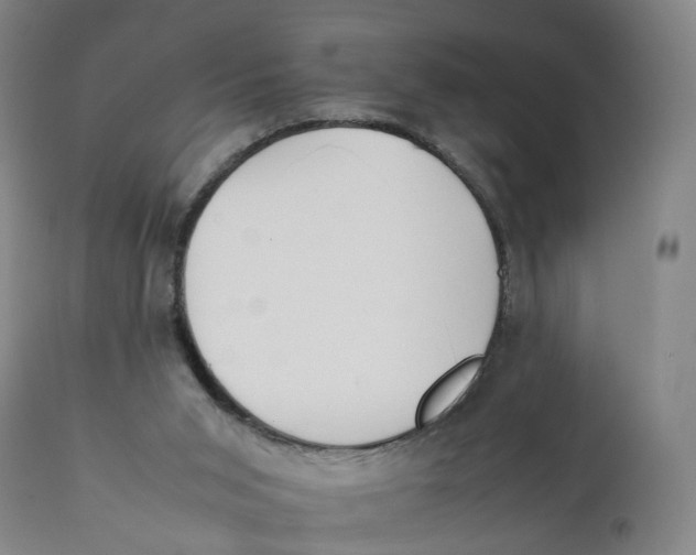 X0000111250015200907231604