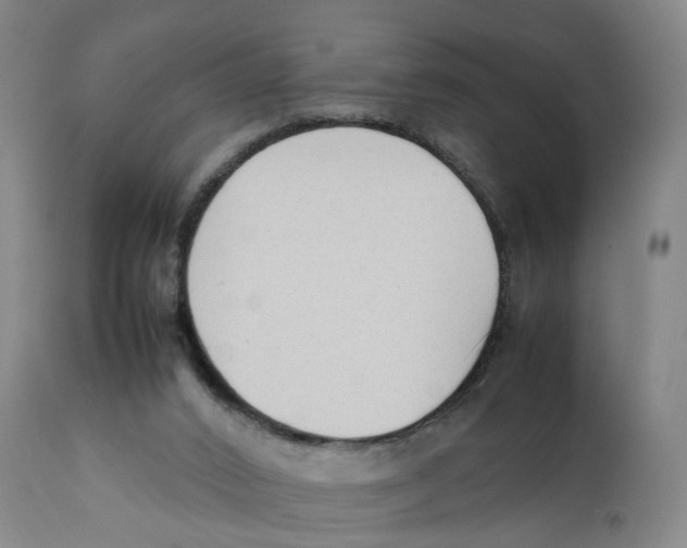 X0000111250016200907231604