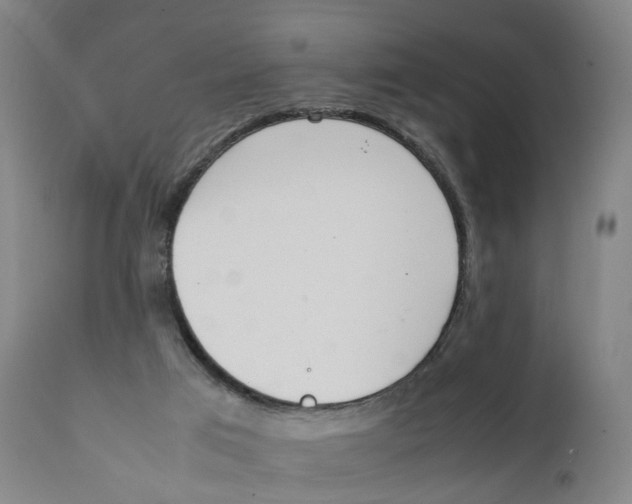 X0000111250017200907231604