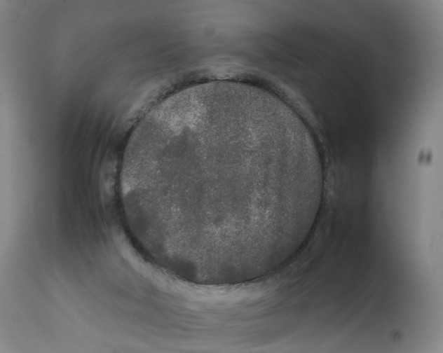 X0000111250018200907231604