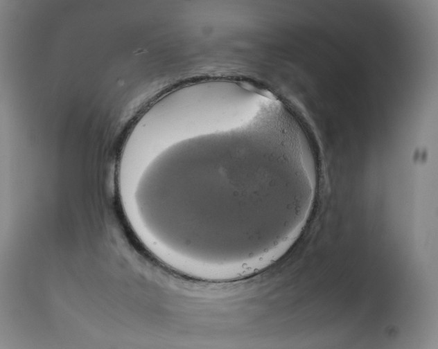 X0000111250019200907231604