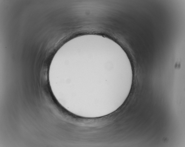 X0000111250021200907231604